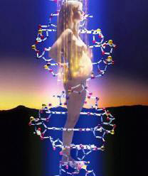 bet horarios pagantes